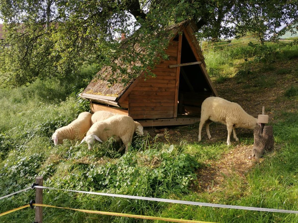 Camping Silva Ljutomer Buitenkant foto
